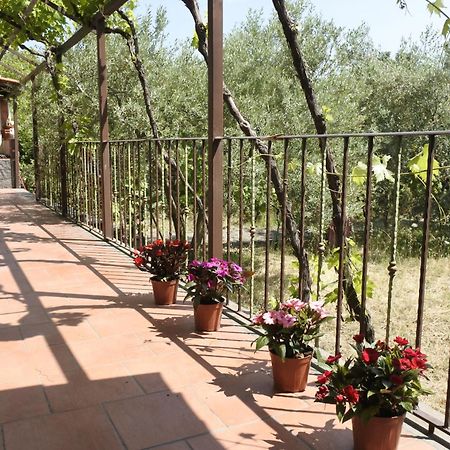 Casa Vacanza Etna Evergreen Villa Piedimonte Etneo Exterior foto