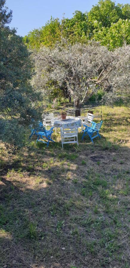 Casa Vacanza Etna Evergreen Villa Piedimonte Etneo Exterior foto