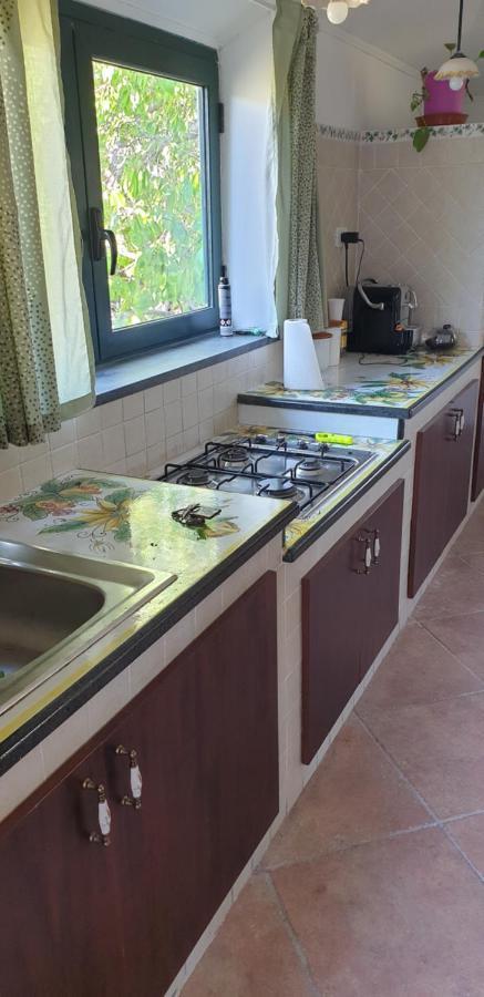 Casa Vacanza Etna Evergreen Villa Piedimonte Etneo Exterior foto