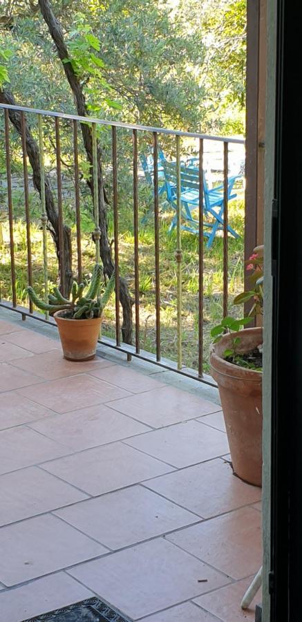 Casa Vacanza Etna Evergreen Villa Piedimonte Etneo Exterior foto