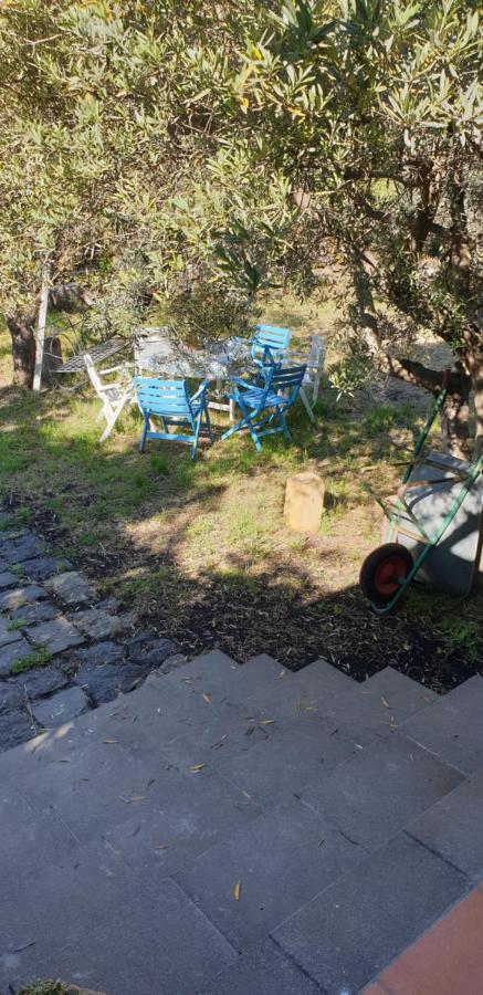 Casa Vacanza Etna Evergreen Villa Piedimonte Etneo Exterior foto