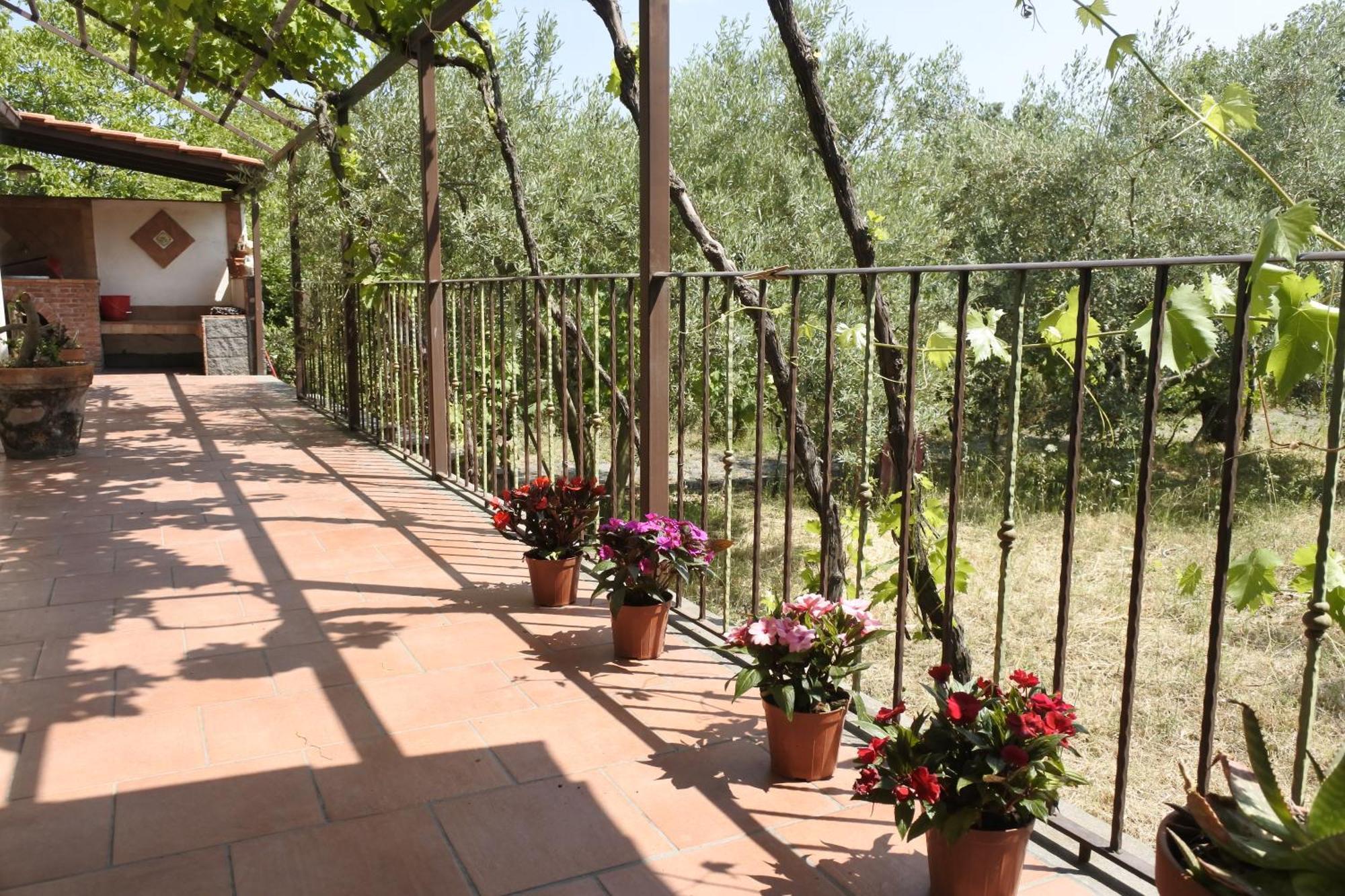 Casa Vacanza Etna Evergreen Villa Piedimonte Etneo Exterior foto