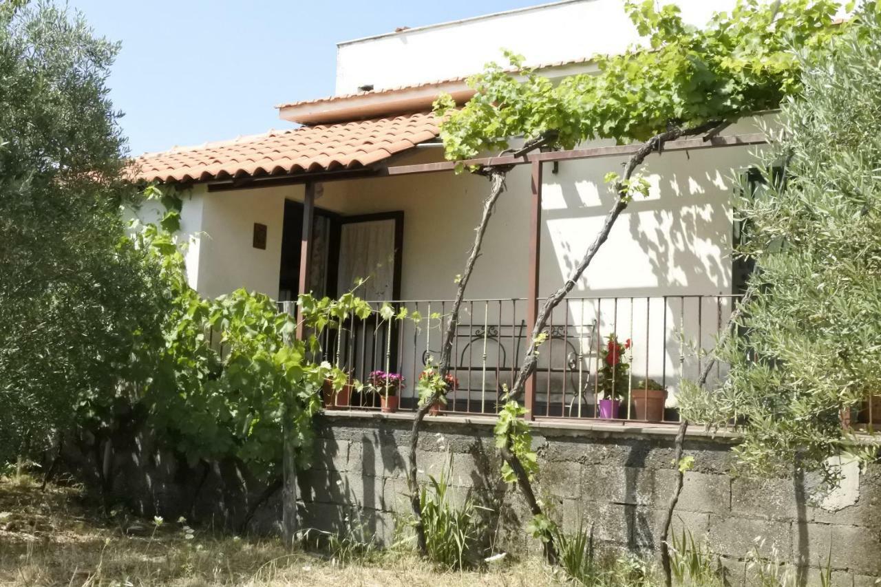 Casa Vacanza Etna Evergreen Villa Piedimonte Etneo Exterior foto